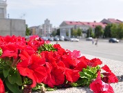 Цветы Кургана